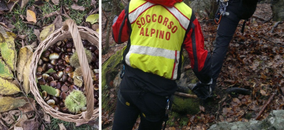 Tragedia tra i boschi: va a raccogliere castagne e muore per un malore